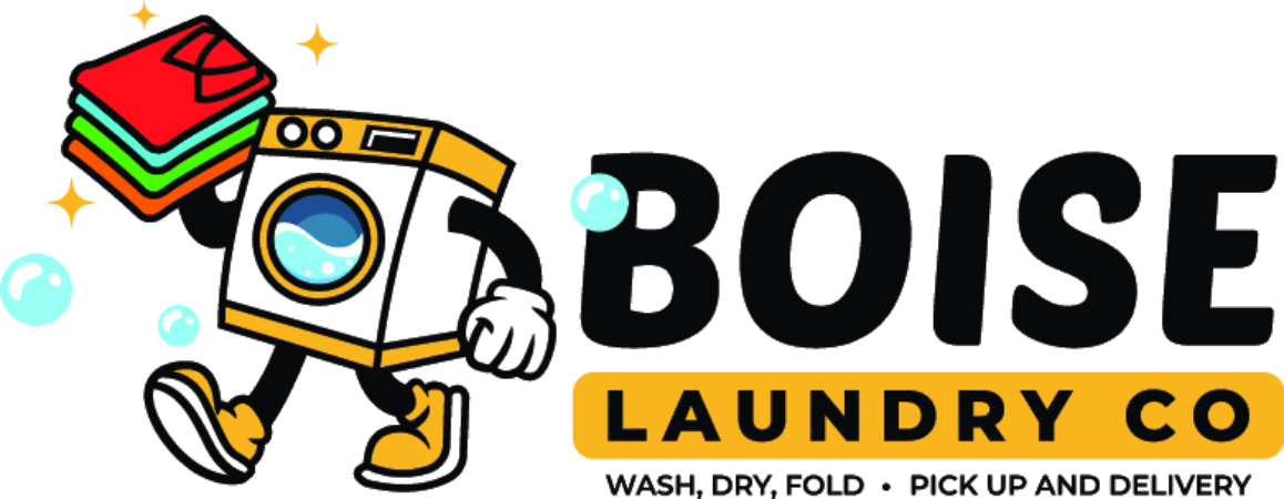 Boise Laundry Logo